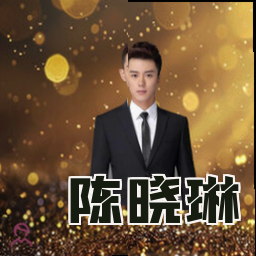 陈晓琳